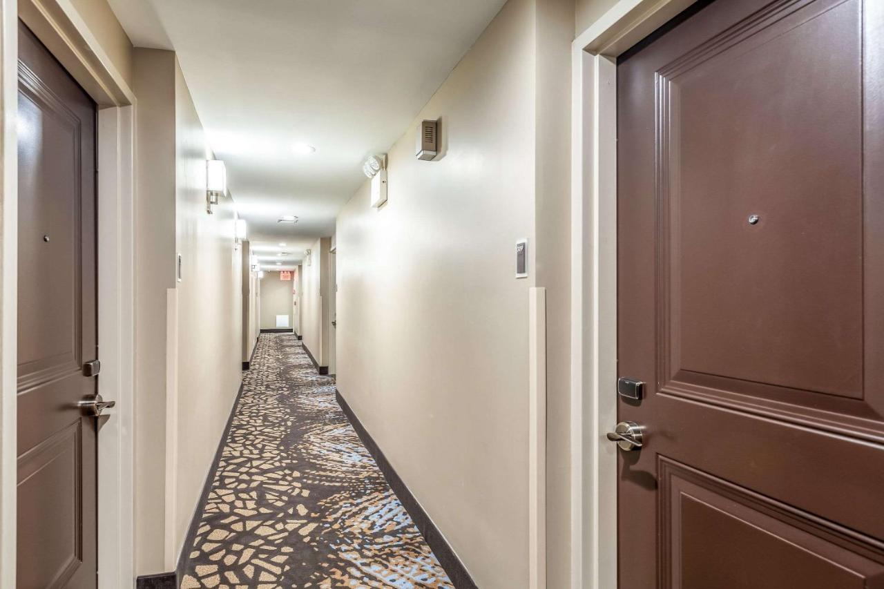 Van Wyck Hotel & Suites Near Jfk Airport New York Eksteriør billede